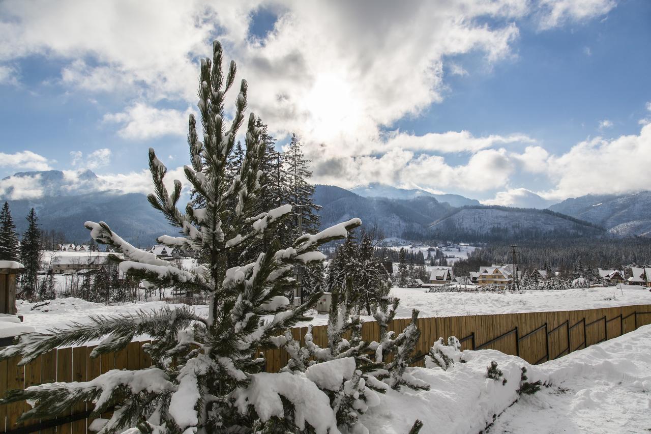 Udanypobyt Apartamenty Snowbird コシチェリスコ エクステリア 写真